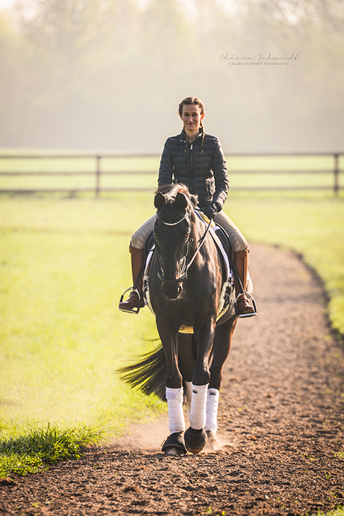 Reiterin und Pferd reiten über einen Weg