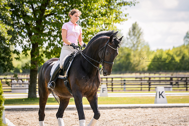 Reiterin und Pferd auf einem Reitplatz