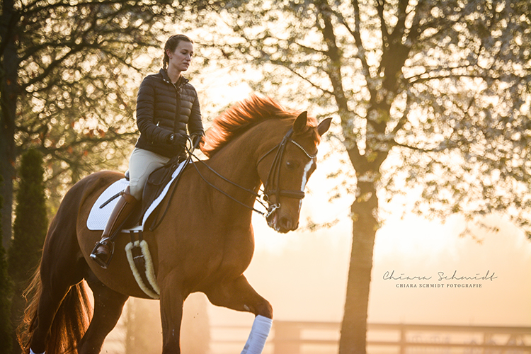 Pferd und Reiterin draußen